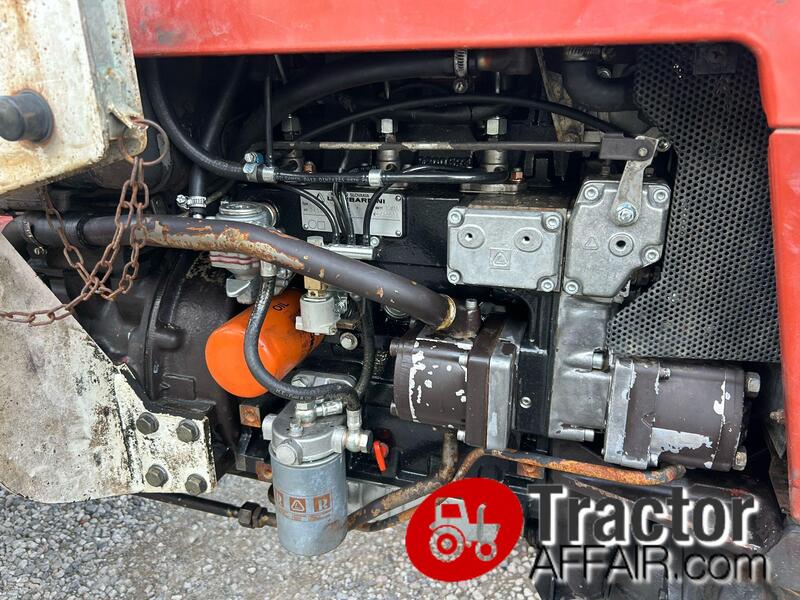 FIAT 35-66 DT TRATTORE CON MOTORE NUOVO 0 ORE FRUTTETO 4X4 USATO-PHOTO-2025-02-28-12-36-05 2.jpg